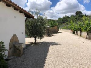 En have udenfor Casa de Campo Patricia