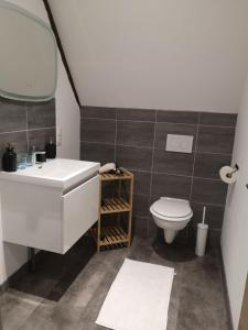 bagno con lavandino e servizi igienici di chez Coco a Riquewihr
