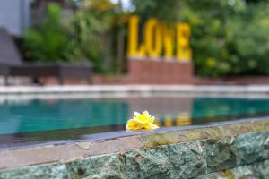 a yellow flower sitting on the edge of a pool at Medori Putih Homestay in Uluwatu
