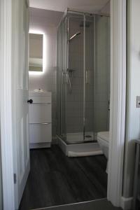 a bathroom with a shower and a sink and a toilet at The Five Pilchards Inn in Helston