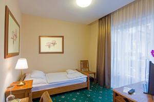 TV a/nebo společenská místnost v ubytování Orchidea Hotel Lipót