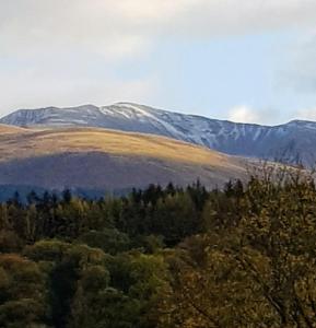 a snow covered mountain in the distance with trees at Coire Glas Guest House in Spean Bridge