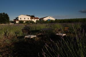 two chairs and a bench in the middle of a field at Casetta Don Carlino in Campomarino