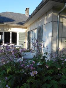 una casa con flores púrpuras en el patio en Studio La Rotonde en Waterloo