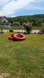 Zahrada ubytování Apartment Dolores