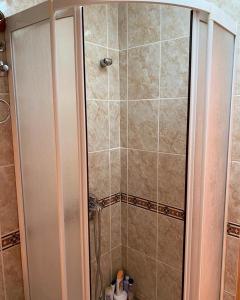 y baño con ducha y puerta de cristal. en Apartman Biljana, en Zlatibor