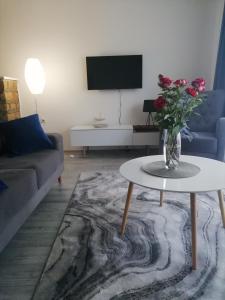 Televiisor ja/või meelelahutuskeskus majutusasutuses Fenix apartman Vinci