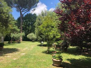 Zahrada ubytování Casa Capanni alla Fila