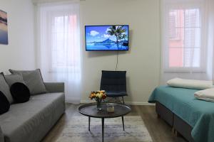 TV a/nebo společenská místnost v ubytování Love Apartment Rovinj