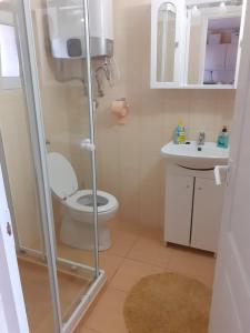 małą łazienkę z toaletą i umywalką w obiekcie Levendula Vendégház w mieście Hajdúnánás
