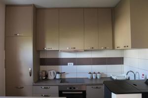 a kitchen with brown cabinets and a counter top at Durmitor Chill Point in Žabljak