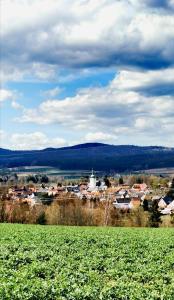 a green field with a town in the distance at Apartment Apart Waldershof in Waldershof