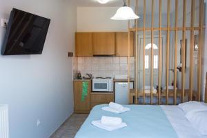 Kuchyň nebo kuchyňský kout v ubytování Vasilis Apartments