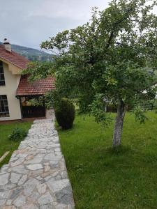 a tree in the grass next to a house at Studio u selu Mačkat in Mačkat