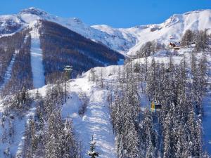 a snow covered mountain with trees and a ski lift at Hôtel Le Blainon in Auron