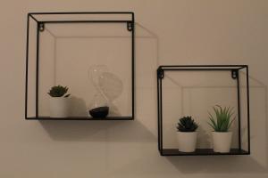 two mirrors on a wall with potted plants at Cycladic Villa in Amorgos Island (Maison Shiro) in Arkesíni