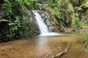 a waterfall in the jungle next to a body of water at Vale do Lajeado - Mountain chalets in Campos do Jordão