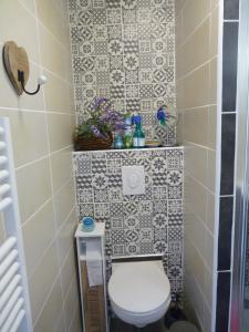 Blis-et-BornにあるMaison à la Campagneのトイレとタイル張りの壁があるバスルーム +61枚の写真