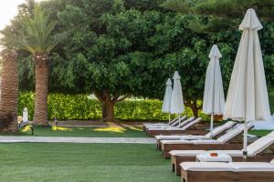 Zahrada ubytování Abella Hotel