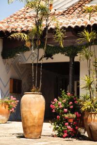 a large vase with plants in front of a house at Kukurutz Residencia in San Cristóbal de Las Casas