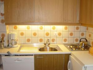 a small kitchen with a sink and a stove at Roc d'Orsay F66 in Leysin