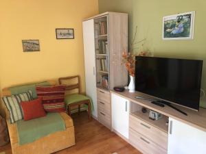 Televízia a/alebo spoločenská miestnosť v ubytovaní Leander Apartman Balatonakali