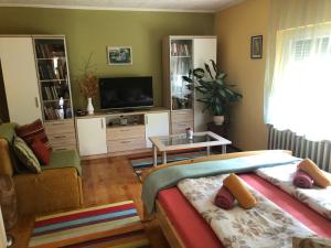 Televízia a/alebo spoločenská miestnosť v ubytovaní Leander Apartman Balatonakali