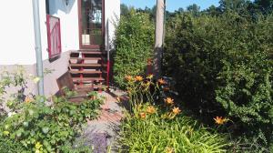 a garden with flowers next to a house at Gartenblick in Lütow