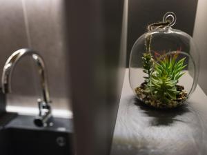 a small plant in a glass jar on a sink at My Space apartment in Subotica