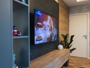 uma televisão de ecrã plano numa parede numa sala de estar em My Space apartment em Subotica