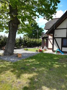 ein Baum im Gras neben einem Gebäude in der Unterkunft Armona in Ustka