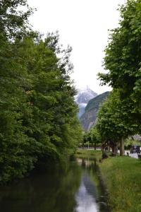 a river with trees and a mountain in the background at La montagne in Le Bourg-dʼOisans