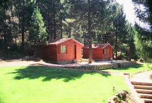 a small cabin in the middle of a field of grass at Cabañas La Toma del Agua in Riópar