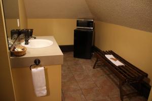 W łazience znajduje się umywalka i kuchenka mikrofalowa. w obiekcie Iowa House Historic Inn w mieście Ames