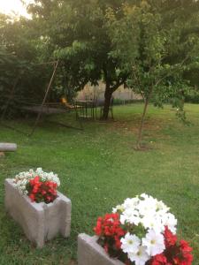 Deux blocs de béton avec des fleurs dans un parc dans l'établissement Teraszos ház, à Balatonlelle