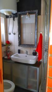 La salle de bains est pourvue d'un lavabo, d'un miroir et de toilettes. dans l'établissement Studio apartman T and T, à Ražanac