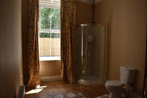 een badkamer met een douche, een toilet en een raam bij Church View Manor in Tullynamalra Cross Roads
