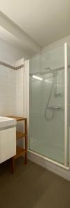 a bathroom with a glass shower with a sink at HemingStay Appartement 3 in Ostend