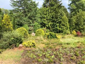 Zahrada ubytování Landhaus mitten in der Lüneburger Heide