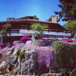 Zahrada ubytování Villa Valdroni