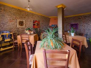 a restaurant with tables and chairs with plants on them at All'Ombra del Castello in Cigliè