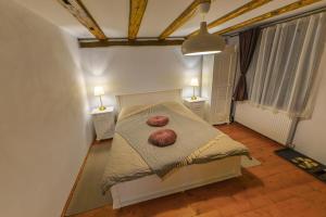 Foto dalla galleria di Flori Haus Saschiz a Saschiz