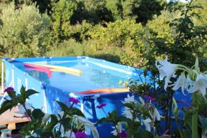 una piscina en un patio con flores en Alojamiento rural Masía Valldepérez en L'Ampolla