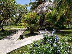 Gallery image of Nature Resort in Bermudian Landing