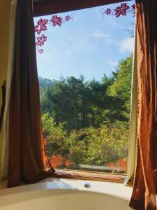 una ventana con vistas a un árbol en Pousada Vinhas do Pinhal, en Santo Antônio do Pinhal