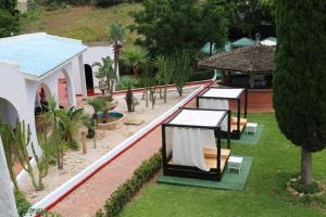 A garden outside Hôtel Mandy