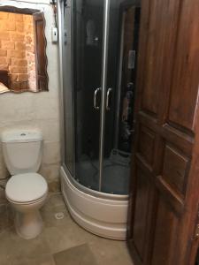 a bathroom with a toilet and a shower at Kasr-i Abbas Hotel in Mardin