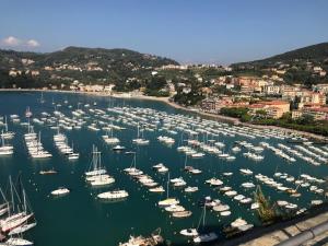 an aerial view of a harbor filled with boats at La Finestra sul Mare in Lerici