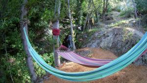 two hammocks hanging from trees in a forest at Alojamiento Rural El Brazal in Lanjarón