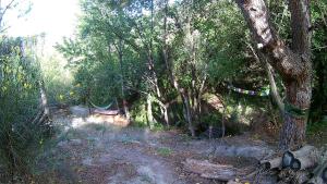 un bosque con árboles y hamacas en un camino de tierra en Alojamiento Rural El Brazal, en Lanjarón